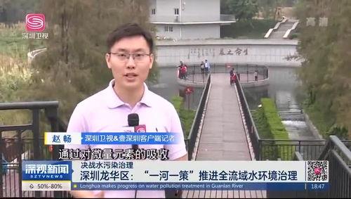 龙华大浪爆料最新消息视频,视频揭秘惊人内幕